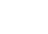 스톤칩닥터